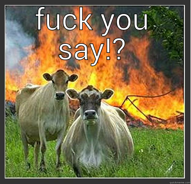 fuck moo cow - FUCK YOU SAY!?  Evil cows