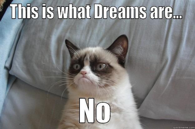 THIS IS WHAT DREAMS ARE... NO Grumpy Cat