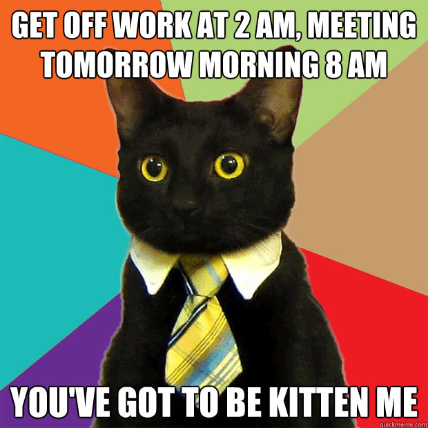 get off work at 2 am, meeting tomorrow morning 8 am you've got to be kitten me  Business Cat