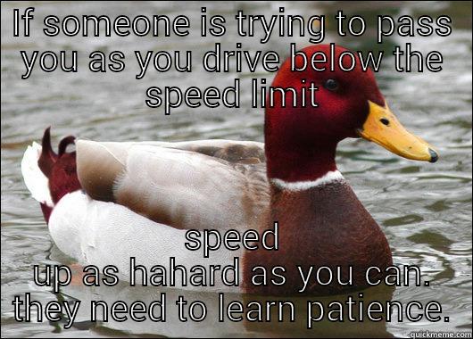 IF SOMEONE IS TRYING TO PASS YOU AS YOU DRIVE BELOW THE SPEED LIMIT SPEED UP AS HAHARD AS YOU CAN. THEY NEED TO LEARN PATIENCE. Malicious Advice Mallard