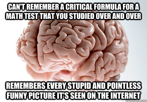 can't remember a critical formula for a math test that you studied over and over remembers every stupid and pointless funny picture it's seen on the internet  Scumbag Brain