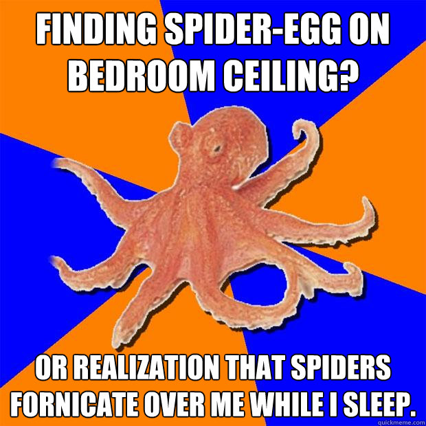 Finding spider-egg on bedroom ceiling? Or realization that spiders fornicate over me while I sleep.  Online Diagnosis Octopus