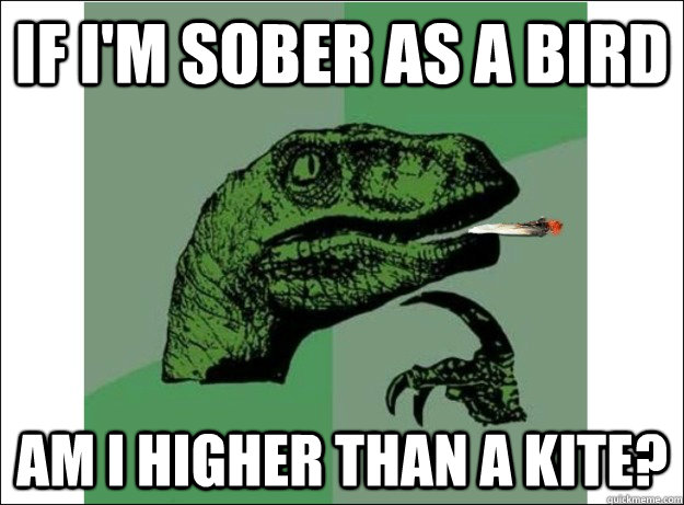 If I'm sober as a bird Am I higher than a kite? - If I'm sober as a bird Am I higher than a kite?  Philosostoner