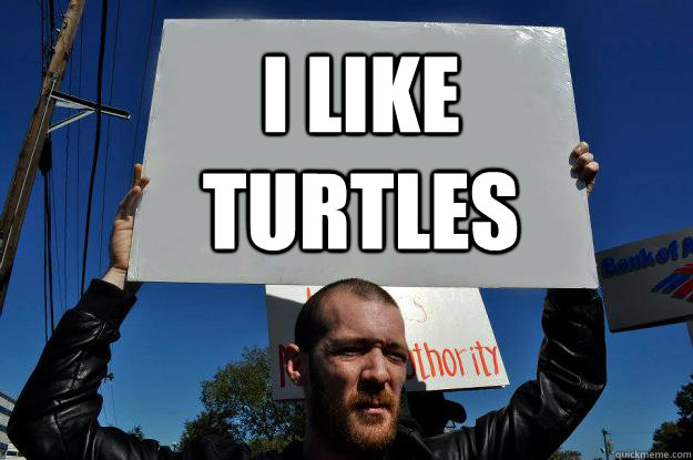 I like turtles  