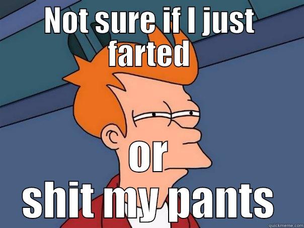 check for shit stains - NOT SURE IF I JUST FARTED OR SHIT MY PANTS Futurama Fry