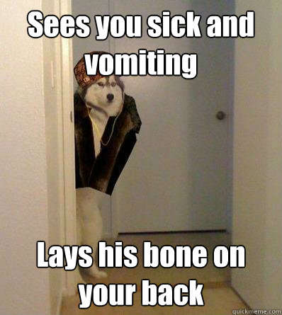 Sees you sick and vomiting Lays his bone on your back  Scumbag dog