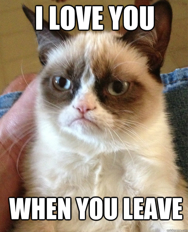 i love you when you leave  Grumpy Cat