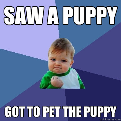 saw a puppy got to pet the puppy  Success Kid