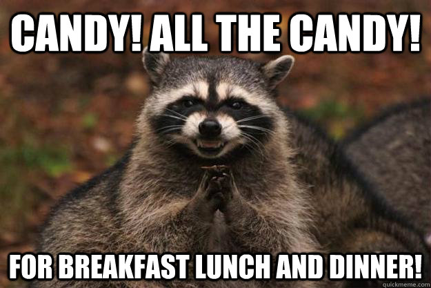 CANDY! ALL THE CANDY! FOR BREAKFAST LUNCH AND DINNER!  Evil Plotting Raccoon