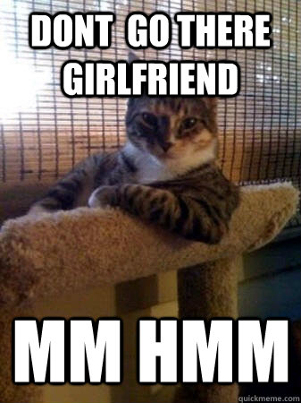 dont  go there girlfriend  mm hmm  The Most Interesting Cat in the World