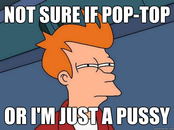 not sure if pop-top or I'm just a pussy  Futurama Fry