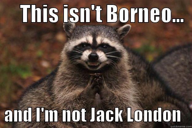      THIS ISN'T BORNEO...     AND I'M NOT JACK LONDON   Evil Plotting Raccoon