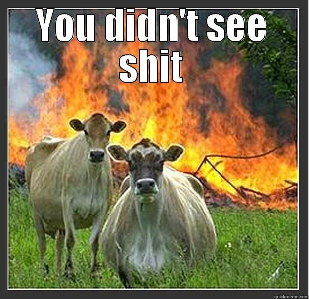 Shit the cow has a gun! - YOU DIDN'T SEE SHIT  Evil cows