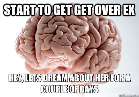 START TO GET GET OVER EX HEY, LETS DREAM ABOUT HER FOR A COUPLE OF DAYS  Scumbag Brain