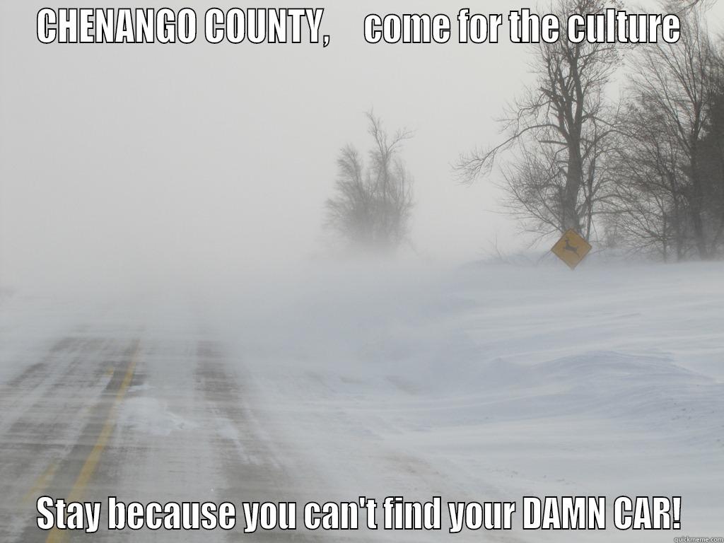 Upstate NY Winter - CHENANGO COUNTY,     COME FOR THE CULTURE STAY BECAUSE YOU CAN'T FIND YOUR DAMN CAR! Misc