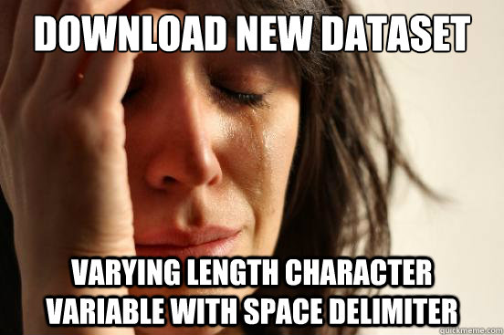 Download new dataset varying length character variable with space delimiter   First World Problems