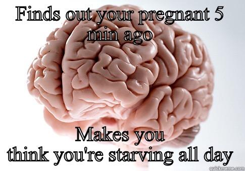 FINDS OUT YOUR PREGNANT 5 MIN AGO MAKES YOU THINK YOU'RE STARVING ALL DAY Scumbag Brain