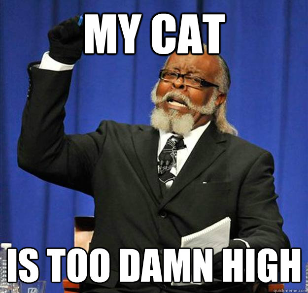 My cat Is too damn high  Jimmy McMillan