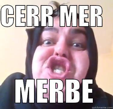 Hey I just me you! - CERR MER   MERBE Misc