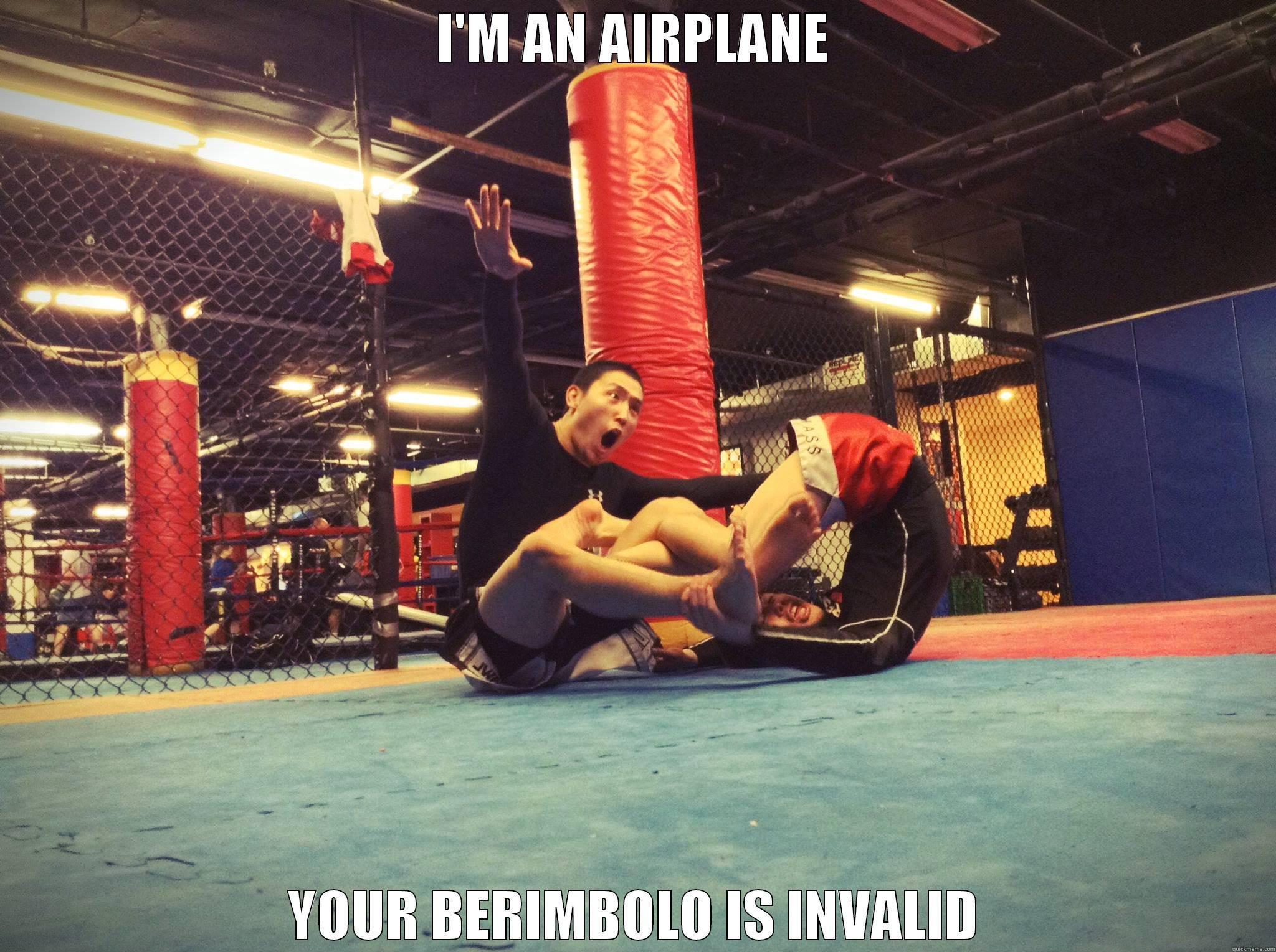 I'M AN AIRPLANE YOUR BERIMBOLO IS INVALID Misc