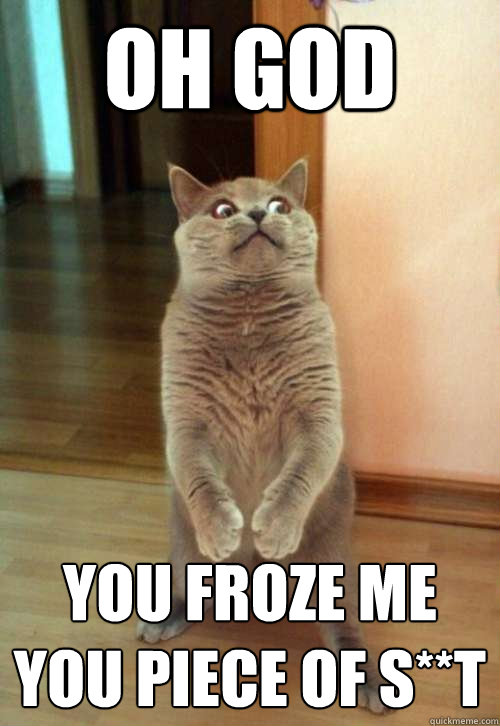 oh god you froze me you piece of s**t  Horrorcat