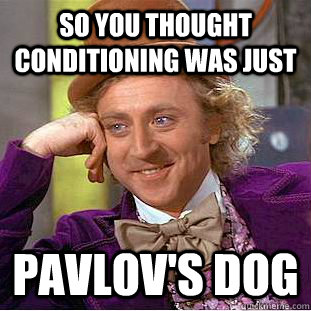 So you thought conditioning was just  Pavlov's dog  Condescending Wonka