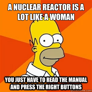 A nuclear reactor is a lot like a woman You just have to read the manual and press the right buttons  Advice Homer