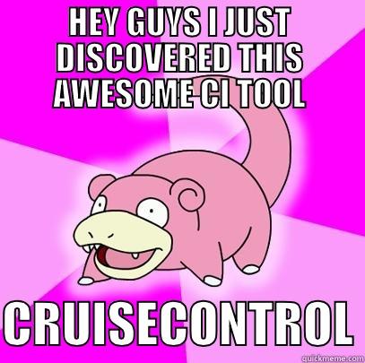 HEY GUYS I JUST DISCOVERED THIS AWESOME CI TOOL  CRUISECONTROL Slowpoke