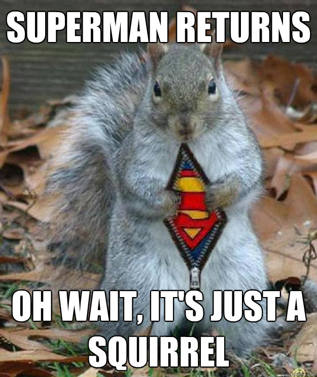 Superman returns oh wait, it's just a squirrel - Superman returns oh wait, it's just a squirrel  SUPERMAN RETURNS