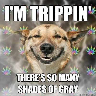 i'm trippin' There's so many shades of gray  - i'm trippin' There's so many shades of gray   Stoner Dog