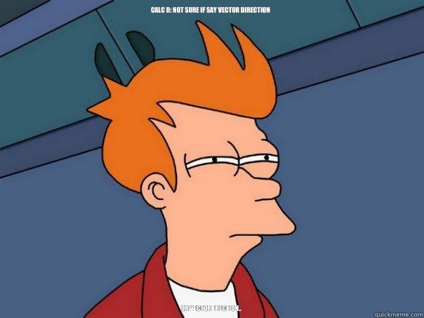 Calc II: Not sure if say vector direction Or vector erection.. - Calc II: Not sure if say vector direction Or vector erection..  Futurama Fry