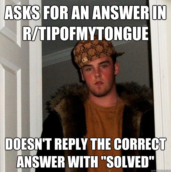 Asks for an answer in r/tipofmytongue Doesn't reply the correct answer with 