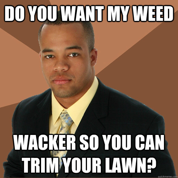 do you want my weed wacker so you can trim your lawn?  Successful Black Man