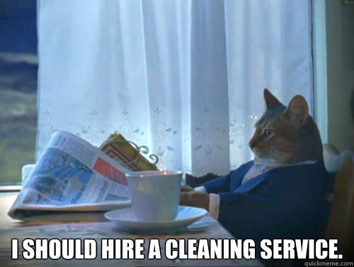  I should hire a cleaning service. -  I should hire a cleaning service.  The One Percent Cat