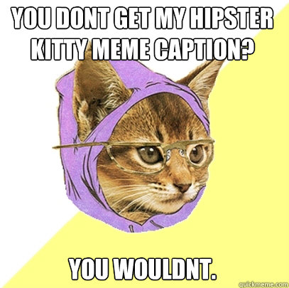 you dont get my hipster kitty meme caption? you wouldnt.  Hipster Kitty