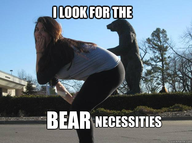 I look for the BEAR Necessities   