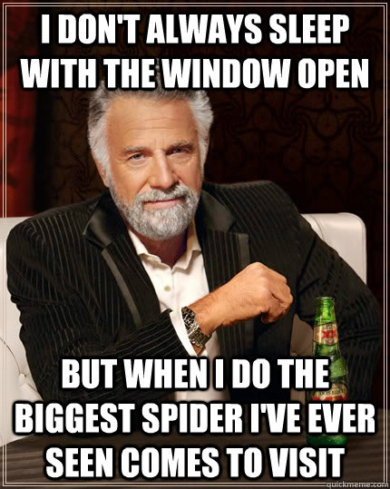 I don't always sleep with the window open but when I do the biggest spider I've ever seen comes to visit - I don't always sleep with the window open but when I do the biggest spider I've ever seen comes to visit  The Most Interesting Man In The World