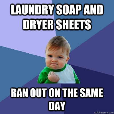 laundry soap and dryer sheets ran out on the same day - laundry soap and dryer sheets ran out on the same day  Success Kid