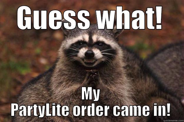 GUESS WHAT! MY PARTYLITE ORDER CAME IN! Evil Plotting Raccoon