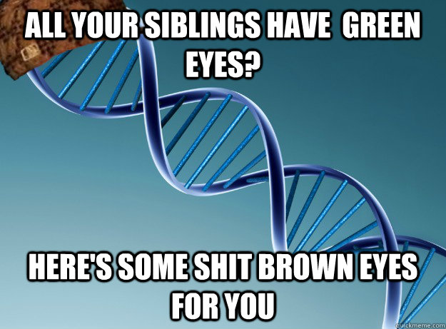 All your siblings have  green eyes? Here's some shit brown eyes for you  Scumbag Genetics