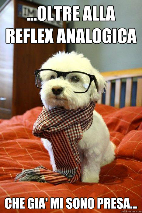 ...Oltre alla reflex analogica che gia' mi sono presa...  Hipster Dog