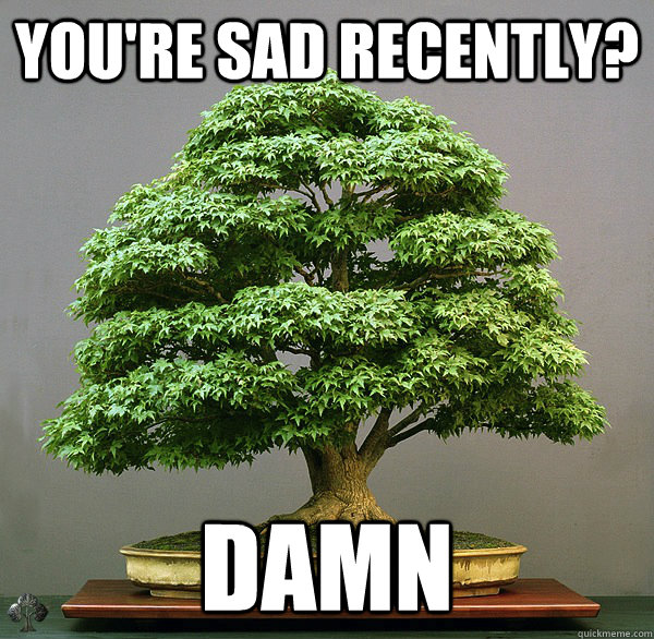 You're sad recently? Damn - You're sad recently? Damn  Somewhat Sympathetic Bonsai Tree