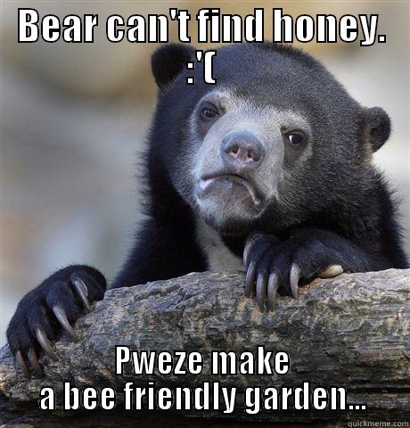 Bear want honey :( - BEAR CAN'T FIND HONEY. :'( PWEZE MAKE A BEE FRIENDLY GARDEN... Confession Bear