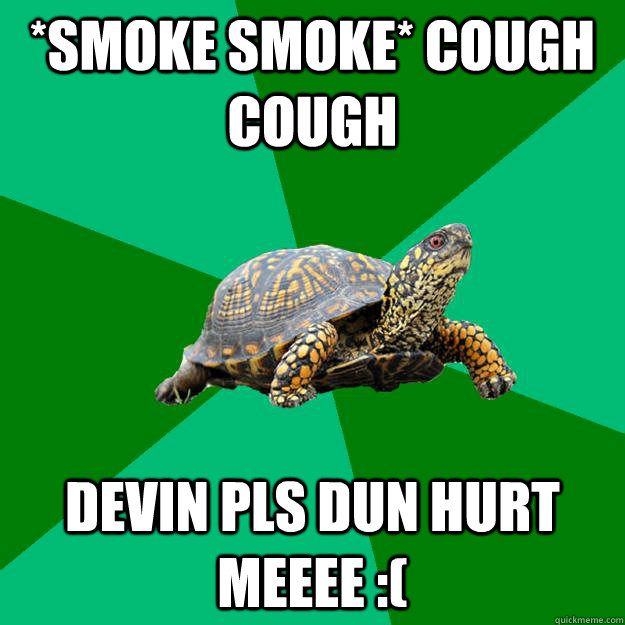 *Smoke smoke* Cough cough DEVIN PLS DUN HURT MEEEE :( - *Smoke smoke* Cough cough DEVIN PLS DUN HURT MEEEE :(  Torrenting Turtle