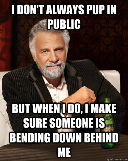 I don't always pup in public but when i do, i make sure someone is bending down behind me - I don't always pup in public but when i do, i make sure someone is bending down behind me  The Most Interesting Man In The World