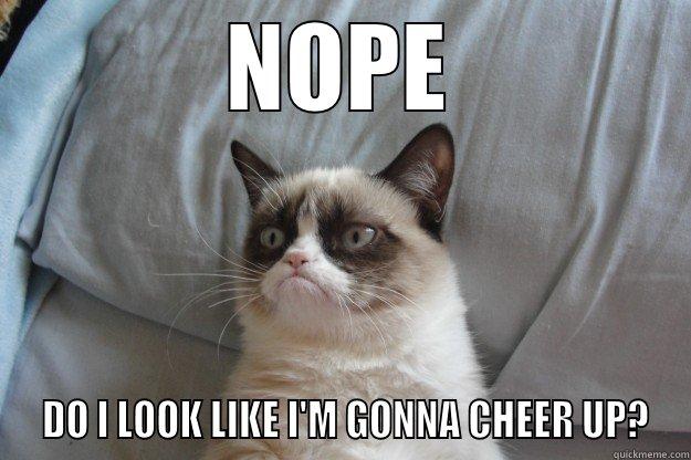 NOPE  DO I LOOK LIKE I'M GONNA CHEER UP? Grumpy Cat