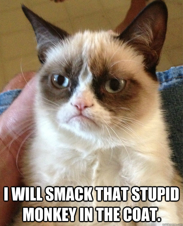  i will smack that stupid monkey in the coat.  Grumpy Cat