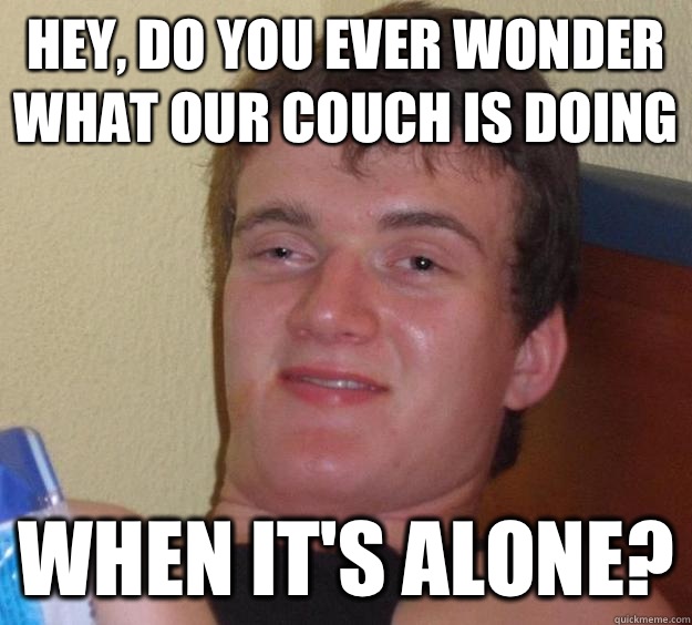 Hey, do you ever wonder what our couch is doing When it's alone?  10 Guy