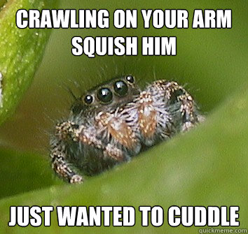 Crawling on your arm
squish him just wanted to cuddle  Misunderstood Spider