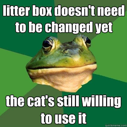 litter box doesn't need to be changed yet the cat's still willing to use it  Foul Bachelor Frog